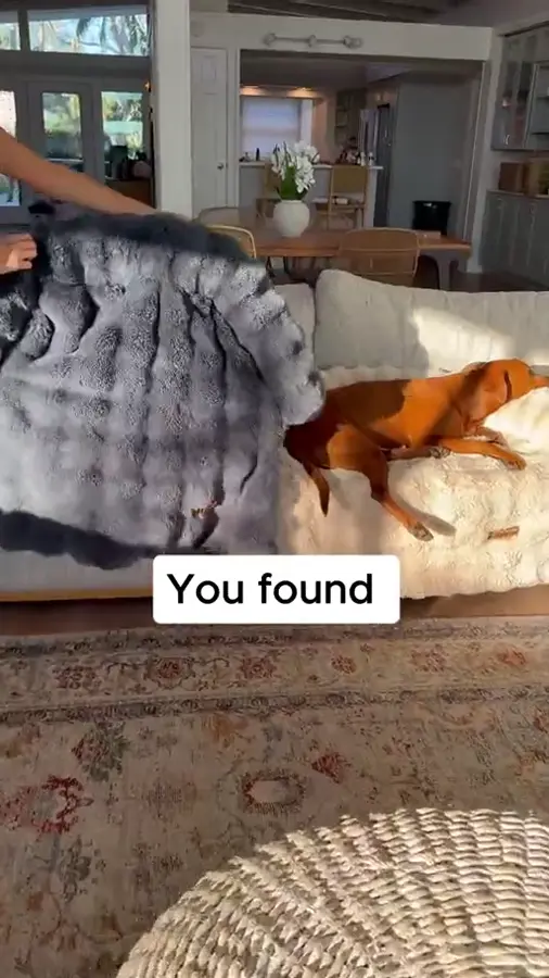 Winning ecommerce ad from Pelsbarn